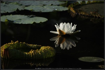 _MG_6718_??