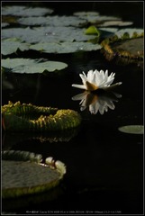 _MG_6719_??