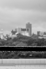 5204177