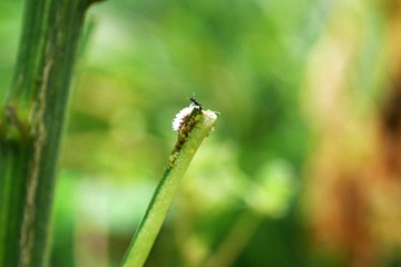 P1020213