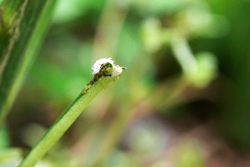 P1020214