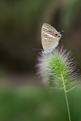 P1030650