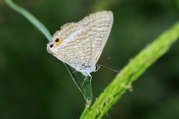 P1030658