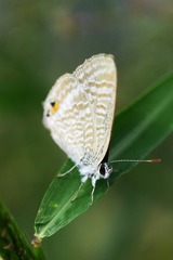 P1030660