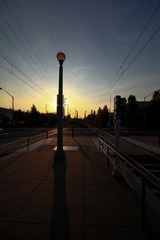 IMG_1490-1.jpg