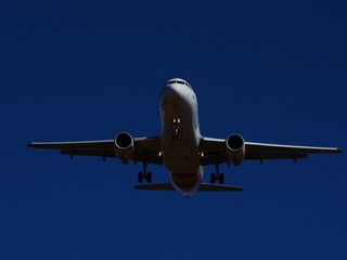 P1033494