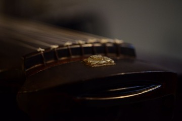 _DSC5386