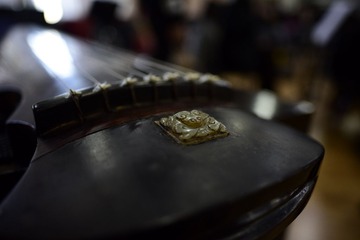 _DSC5234