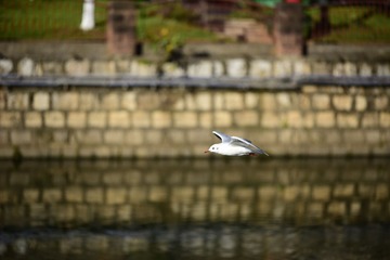 _DSC5208