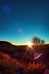 DSC05606_dh