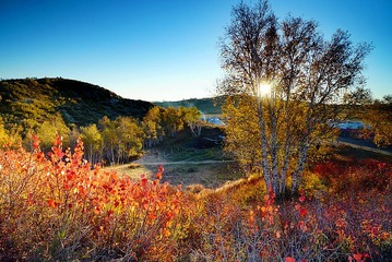 DSC09585_dh