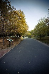 IMG_9250.jpg