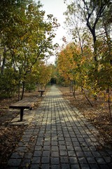 IMG_9268.jpg
