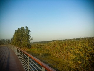 20151002_162607_Richtone(HDR)