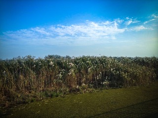 20151002_162618_Richtone(HDR)