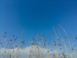 20160210_150310_j