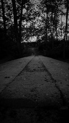 20150501_162704