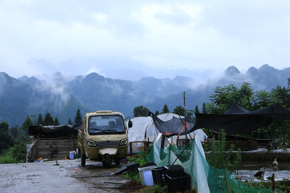 大山深处有人家