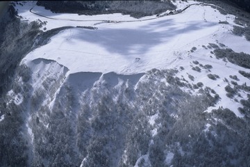 SDC10171
