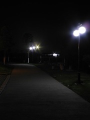 DSCN0241.JPG