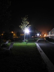 DSCN0277.JPG