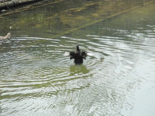 DSCN0182.JPG