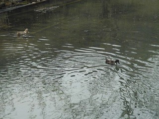 DSCN0183.JPG
