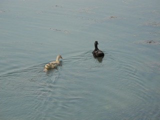 DSCN0197.JPG