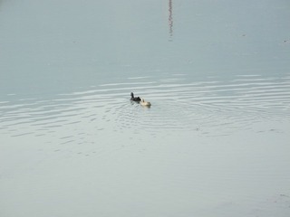 DSCN0200.JPG