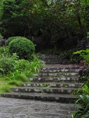 DSCN0244.JPG