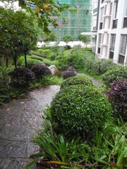 DSCN0247.JPG