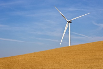 nEO_IMG_IMG_8830.jpg