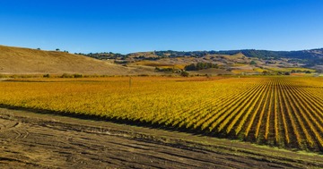 DJI_0016_NP