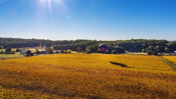 DJI_0034_np