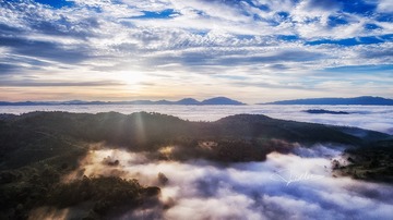DJI_0303