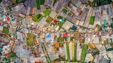 DJI_0707_NP