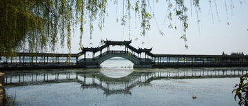 DP1Q0946