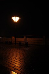 DSC_7473.jpg