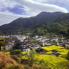 IMG_1096a