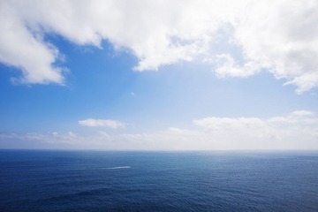 IMG_3194.jpg