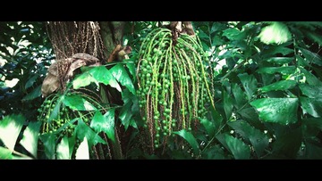 IMG_3638.jpg