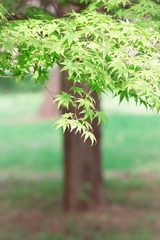 IMG_0040.jpg