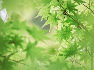 IMG_0049.jpg