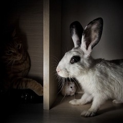 IMG_7714.jpg