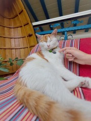 IMG_1245.jpg