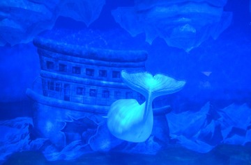 梦幻精灵，