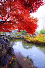 IMG_0630 副1.JPG