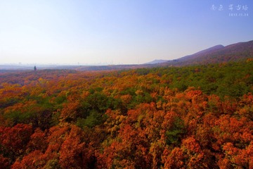 IMG_0580 副本.jpg