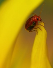 IMG_06031.jpg