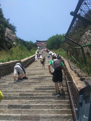 262408